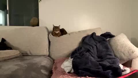 GoddessMayvn online show from 02/08/25, 07:15