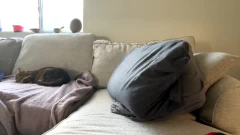 GoddessMayvn online show from 02/11/25, 04:46