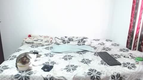 gold_shooter online show from 03/12/26, 02:56