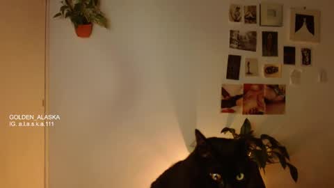 Alaska online show from 11/05/25, 11:05