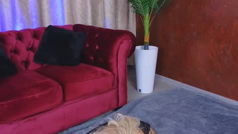 GoldenAmberX online show from 01/29/25, 05:19