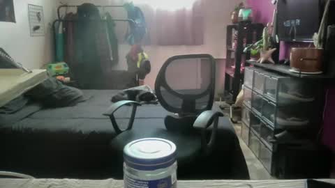 goodbatorboy online show from 07/09/26, 10:03