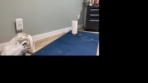 GoshLover online show from 11/04/25, 05:01