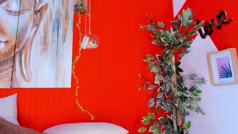 grace online show from 02/20/25, 10:37