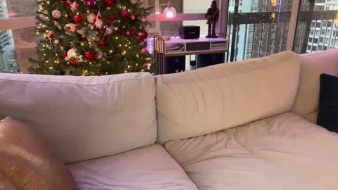 Gracie Mae online show from 01/17/25, 10:23