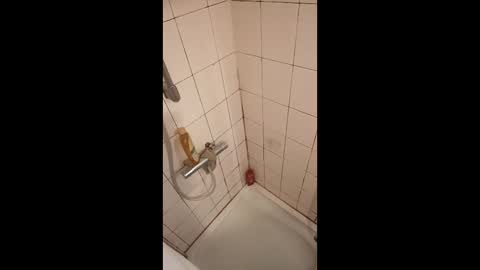 Grakex online show from 04/22/26, 06:38