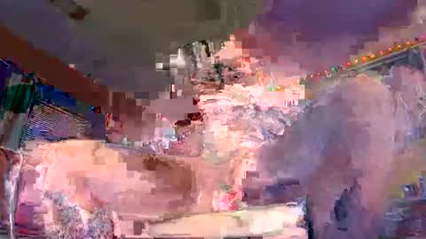 grambag1995 online show from 03/05/26, 04:52