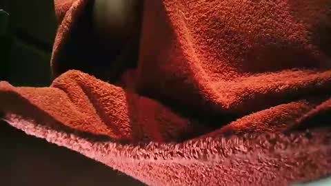 grapefruit online show from 03/01/25, 09:59