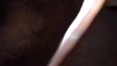 Get US to 1000 you wont be disapointed online show from 03/16/26, 05:44