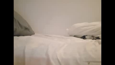 Snapshot of greekprince77 chatting on 03/02/26, 12:56 greekprince77 online show from 03/02/26, 12:56