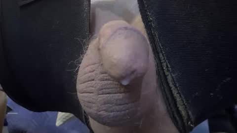 electrogee1 online show from 02/19/26, 12:28