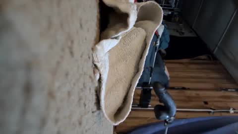 electrogee1 online show from 03/15/26, 01:00