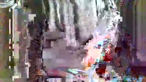 greyhounddog online show from 04/04/26, 09:29