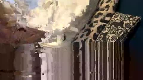 greymen2020 online show from 02/16/26, 06:04