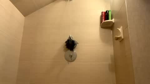 Perfectlyaveragesavage online show from 12/31/24, 01:30