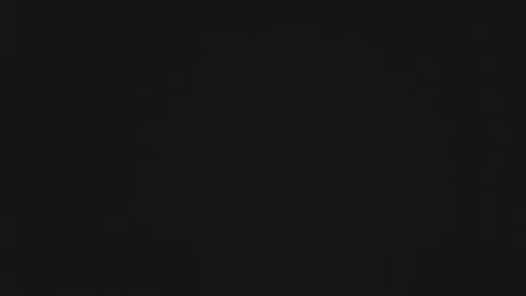 Groot online show from 01/05/26, 08:12