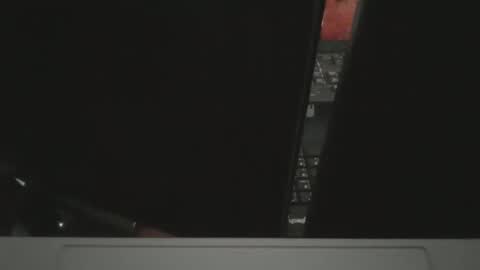 Groot online show from 03/08/26, 03:27