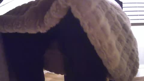 Snapshot of grower2153 chatting on 11/24/25, 12:05 grower2153 online show from 11/24/25, 12:05