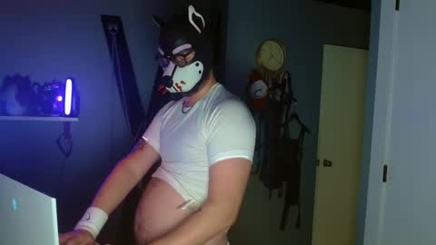 Alpha pup online show from 10/08/25, 09:29