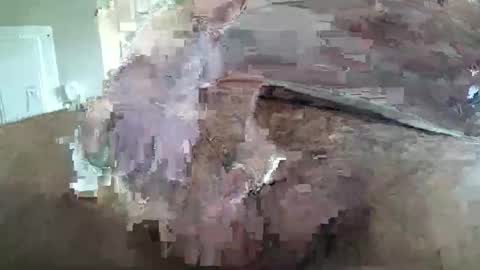 deviant156 online show from 05/18/26, 07:09