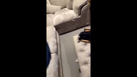 gt79802068 online show from 11/11/25, 07:03