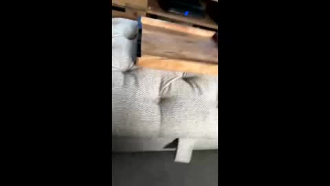 gt79802068 online show from 11/22/25, 12:04