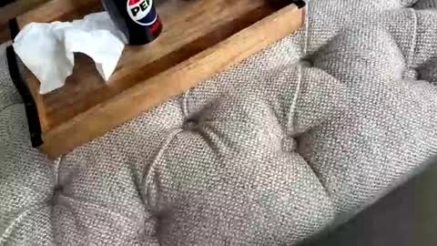 gt79802068 online show from 04/19/26, 12:48