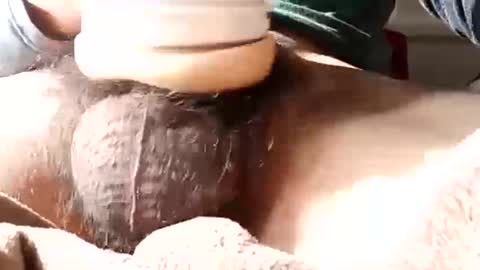 guapopapi88 online show from 01/12/25, 08:57