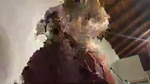 GugaBalls online show from 05/08/26, 08:14