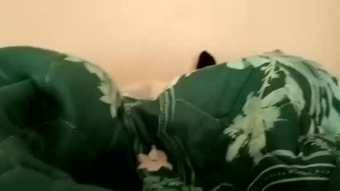 guttybeton online show from 04/17/26, 06:16