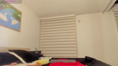   online show from 02/05/25, 06:13