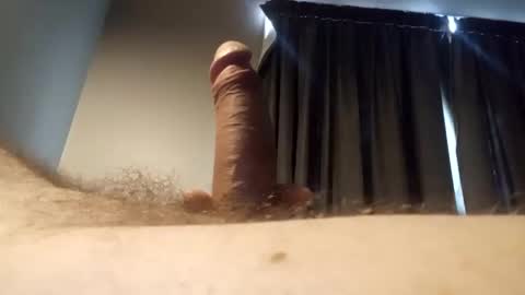 h_rd333 online show from 01/31/25, 09:16