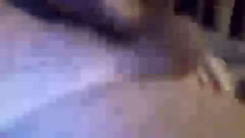 h_rd333 online show from 03/11/25, 01:45