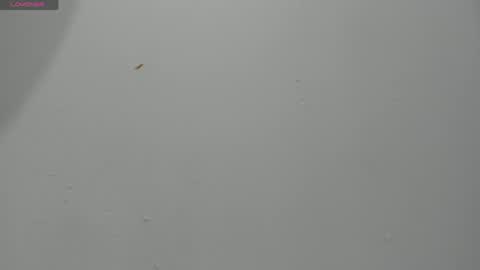 Hailey online show from 04/02/26, 11:57