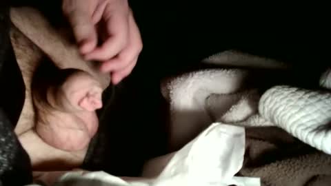 share9 online show from 02/02/26, 03:05