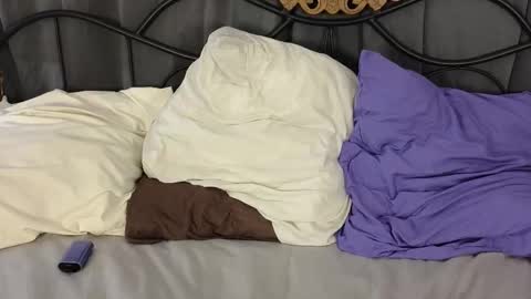 Lylu online show from 02/03/26, 02:53