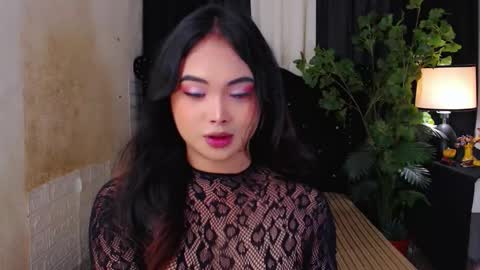 haily online show from 11/12/25, 02:12