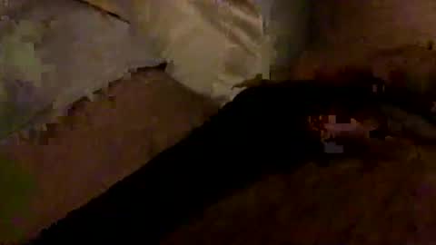 Snapshot of hairbear5 chatting on 01/10/26, 03:30 Bruce online show from 01/10/26, 03:30