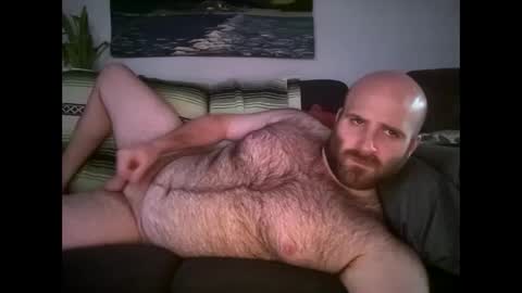 Hairiest Bear online show from 04/22/26, 11:39