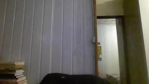 horny online show from 01/03/25, 10:40