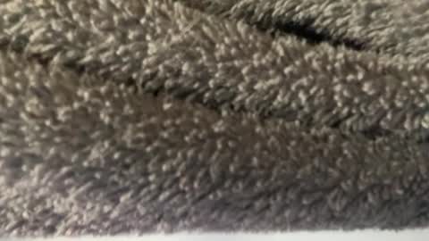 J  M online show from 03/08/25, 04:56