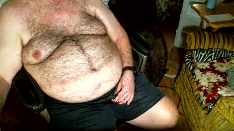 hairybear813 online show from 11/02/25, 09:50