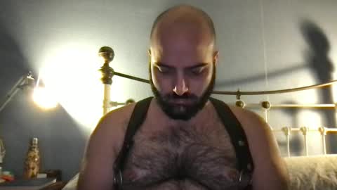 Hairy Guy online show from 12/08/24, 07:22