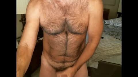 Snapshot of hairypecsguy chatting on 12/17/24, 03:06 Hairy pecs online show from 12/17/24, 03:06