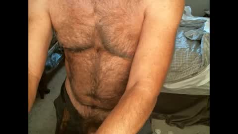 Snapshot of hairypecsguy chatting on 09/12/25, 11:15 Hairy pecs online show from 09/12/25, 11:15