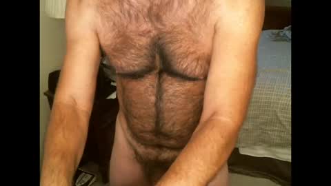 Snapshot of hairypecsguy chatting on 10/17/25, 09:06 Hairy pecs online show from 10/17/25, 09:06