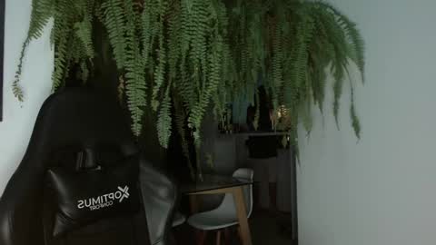 halan online show from 02/26/25, 06:47