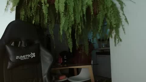 halan online show from 03/05/25, 07:05