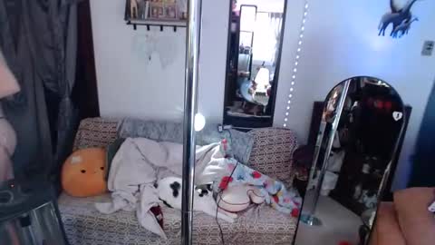 halovalentine online show from 02/26/26, 05:45