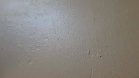 Snapshot of hamhead71 chatting on 01/27/25, 06:52 hamhead71 online show from 01/27/25, 06:52